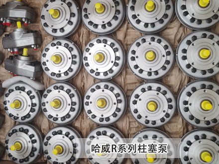 哈威R系列柱塞泵 哈威R系列柱塞泵